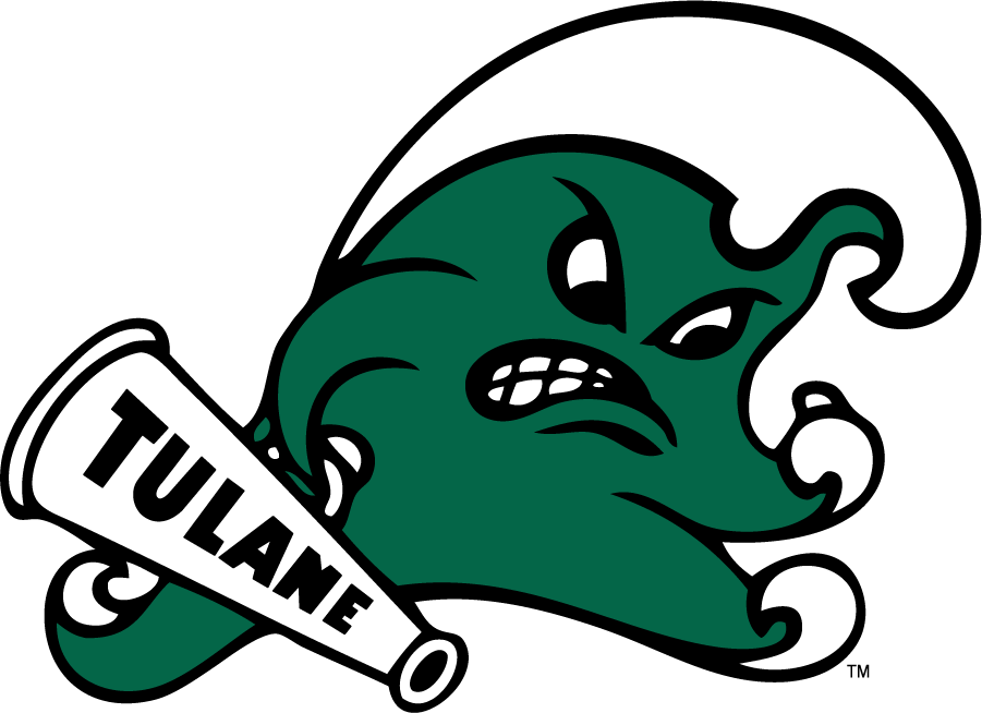 Tulane Green Wave 2016-2017 Secondary Logo v3 diy DTF decal sticker